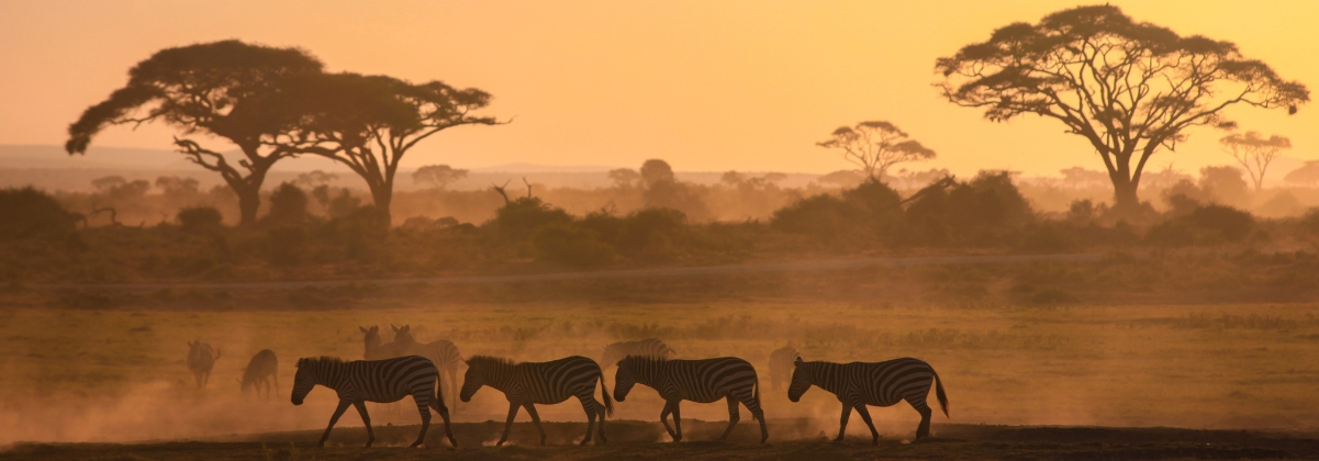 תחזית מזג אוויר לניירובי